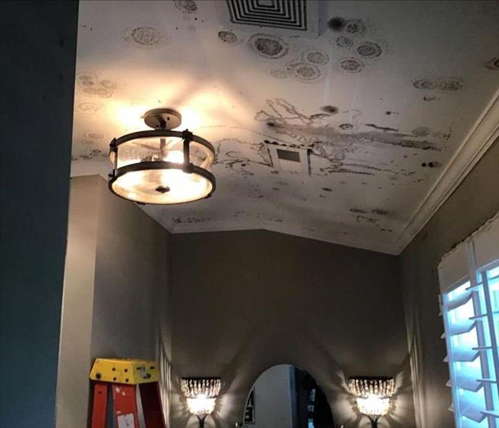mold on a ceiling 